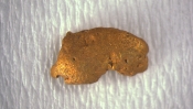 Goldnugget