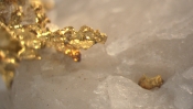 Goldnugget