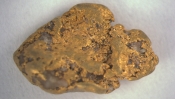 Goldnugget