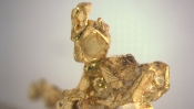 Goldnugget