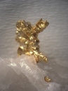 Goldnugget