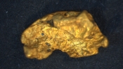 Goldnugget