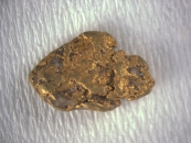 Goldnugget